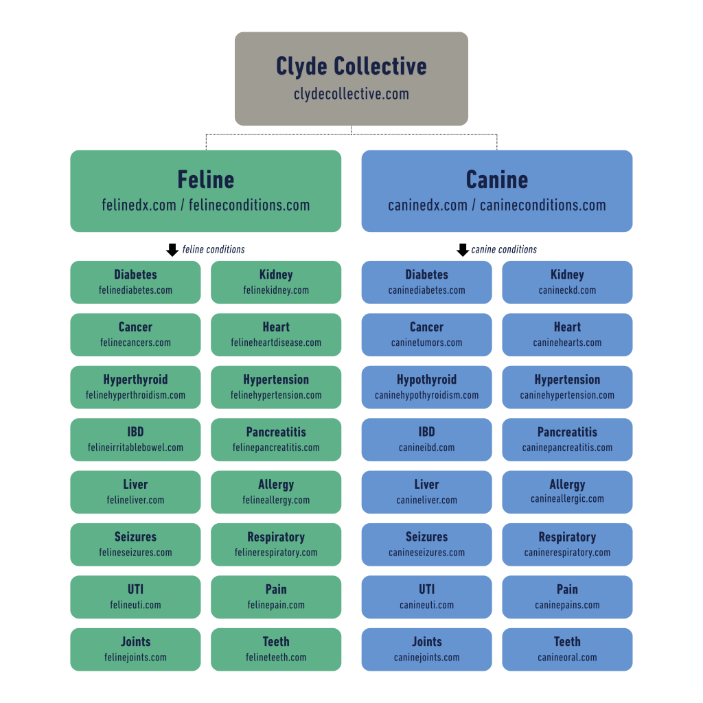 Website Planning (1)